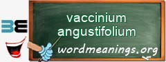 WordMeaning blackboard for vaccinium angustifolium